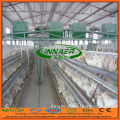 Automatic Equipment for Layer Chicken Cage / Chicken Coop